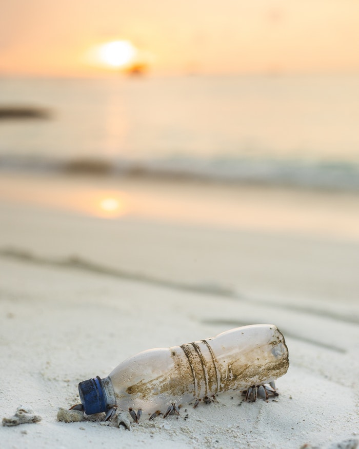 A dirty bottle is washed up to shore on the beach